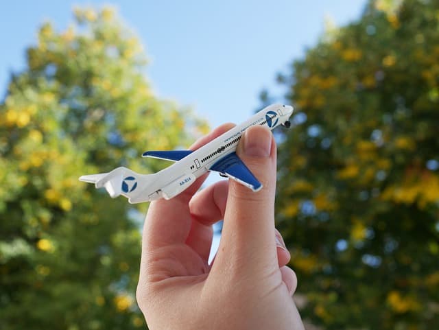 Why a BBA with Aviation & Tourism is the Perfect Launchpad for Your Career in the Skies